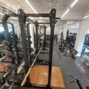 브라운 짐 이미지