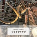 한양대(제2과학기술관) | 대전 국립중앙과학관 (자연사관, 인류관, 과학기술관, 창의나래관) / 대전 실내 아이와가볼만한곳