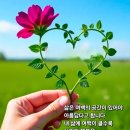 하루에 한번쯤은 이미지
