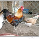 현인농장 이미지