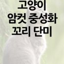 동물병원예지 이미지