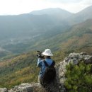 곰바위산 895m 경북 포항 이미지