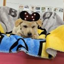 안골로108번길 이미지