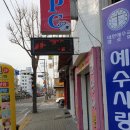 독스캣 강아지고양이 수원점 이미지