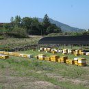 원주굽이길 원11코스 다둔인벌길 이미지