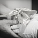 나은 강아지나라 이미지