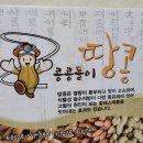 해뜨는농원 이미지