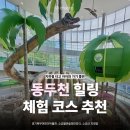 동두천시소요산관광지원센터 | 타고 아이와 가기 좋은 동두천 힐링 체험 코스 추천...어린이박물관, 소요별앤숲테마파크, 소요산 자재암