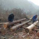 정자농장 이미지