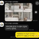 조커PC | 수원 스타필드 강아지 호텔링 오십케이/데이케어 가능!