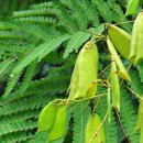 소목한의원 이미지