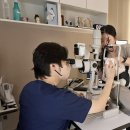 아이온메디칼 | 용인수지동물병원, 아이온 노령견 눈병 치료 잘하는 곳