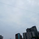 서울서남부농협하나로마트 | 2025년8월3일 - 「하나로마트 서울서남부농협 본점」에서 알뜰 장보기를 하다.