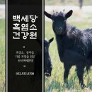 우리사슴건강원