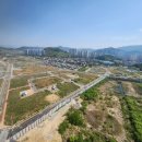 내덕초교 이미지