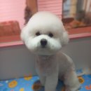 오늘도 너에개 이미지