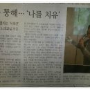 경희대학교 사회교육원 노래지도자과 3기 서화현 선생님 축하합니다.^^~ 이미지