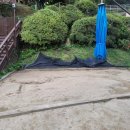 배재대학교부속유치원 이미지