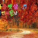 아침이슬 이미지