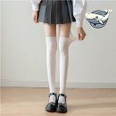 스타킹 이미지