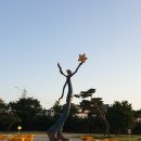 영천강변공원 공중화장실(4) | 영천 보라 유채꽃 &amp; 하얀 데이지 만발한 꽃밭으로 | 영천생태지구공원 꽃구경