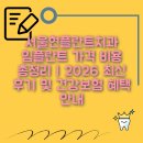 서울현플란트 치과의원 | 서울현플란트치과 임플란트 가격 비용 총정리 | 2026 최신 후기 및 건강보험 혜택 안내