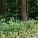 강남 규정 행정사사무소 이미지