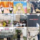 [W.결혼식 사회자] 숨고 결혼식 이재성 인기사회자 계약 후기 (Feat. 인스타 웨딩릴스)