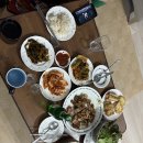 스트라이크존 증평구장
