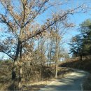 김천목장 이미지