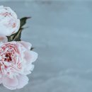 그곳만이 내 세상 이미지