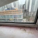 프람티드랩대구달서지사 이미지