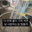 카타르 도쿄 어세스먼트데이 CV DROP 후기
