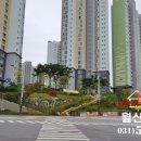 월산초등학교 운동장 이미지