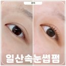 백마로 | 일산 속눈썹펌 추천 마두역 유일뷰티 마스카라펌 LC컬 후기