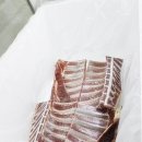 그린흑염소건강원