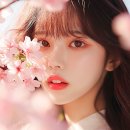 레이어아트스튜디오