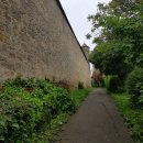 푸른가축약품(주) | [주일예배설교원고] 책읽는교회 전은숙목사 | 민수기 15장, 기억의 술, 12/28 주일예배