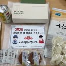 아이와 천사와 개
