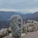 제376차 함안 여항산/해바라기 축제 7월1일 화요일 이미지