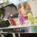 에이케이플라자(키플링) 이미지