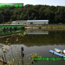 왕골낚시터 이미지