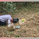 신속묘 | 강진묘이장 왜 신뢰할 수 있는 전문 서비스를 선택해야 할까요?