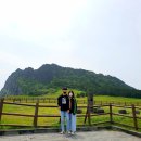 렌트투어 이미지