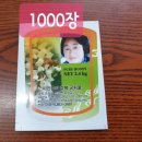 이진숙의 경북군위꿀