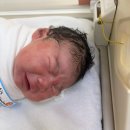 쉬즈메디병원 | 쉬즈메디병원 제왕절개 후기 | 수원쉬즈메디 4.3kg 자이언트베이비 탄생 + 제왕절개가스통 솔직 기록