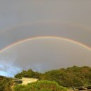 수 당구마을 이미지