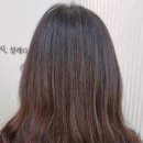 다시설레다 이미지
