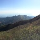 오색약국 이미지