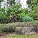 조은인테리어공인중개사사무소 이미지